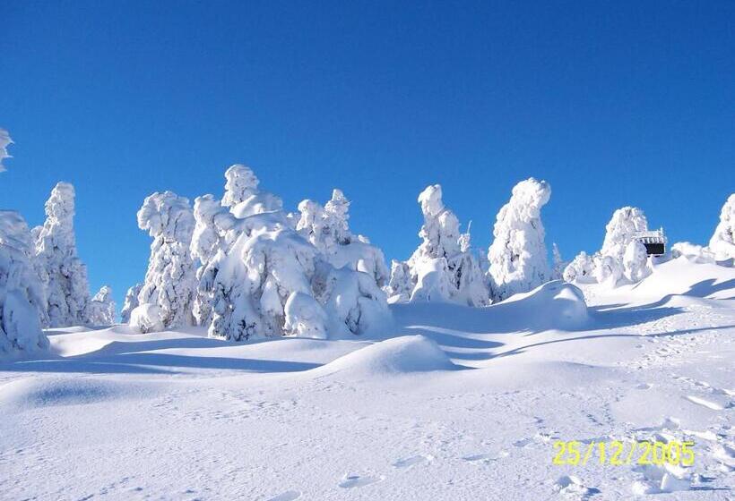 בית מלון כפרי Brockenstübchen