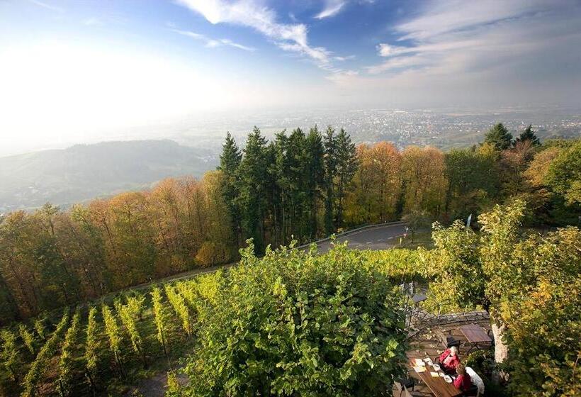 호텔 Burg Windeck S