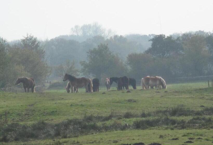 فندق Café Schauinsland