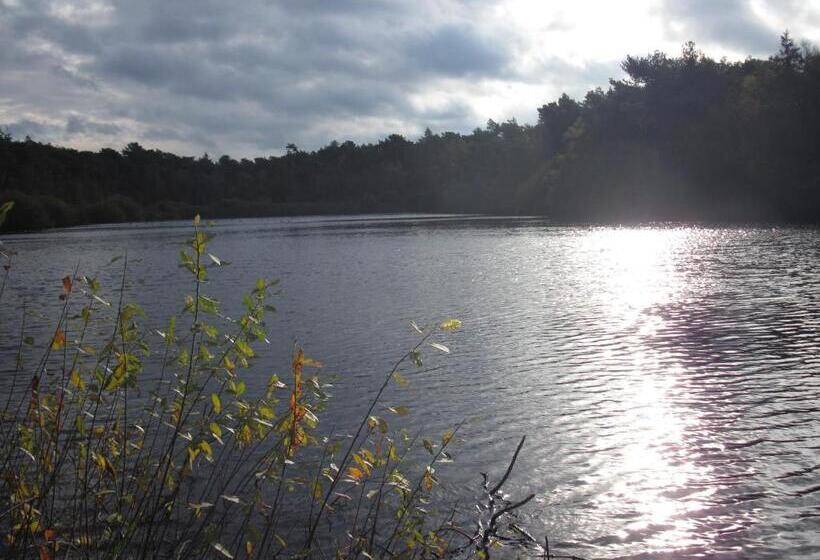 فندق Café Schauinsland