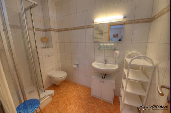 Отель Ferienanlage Zum Wildbach Gmbh