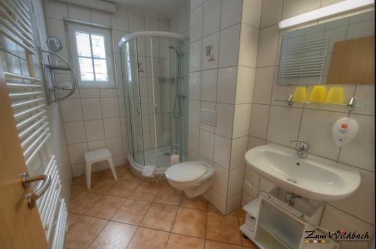 Отель Ferienanlage Zum Wildbach Gmbh