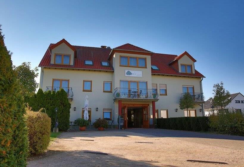 בית מלון כפרי Fetzers Land