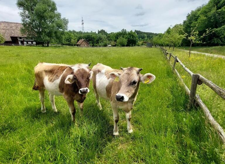 فندق Garni Malerwinkl