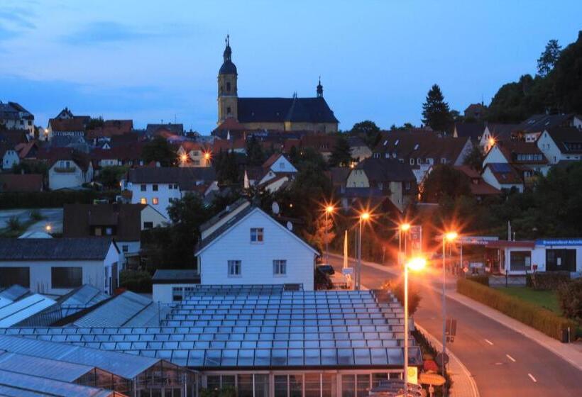 Отель Garni Regina