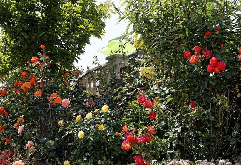 Отель Garni Regina