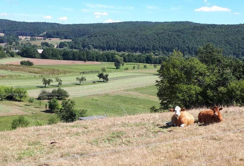 Gasthof Spessarttor & Hotel Bergwiesen