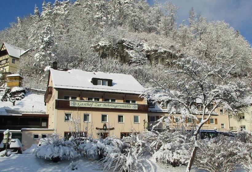 בית מלון כפרי Gasthof Zur Behringersmühle