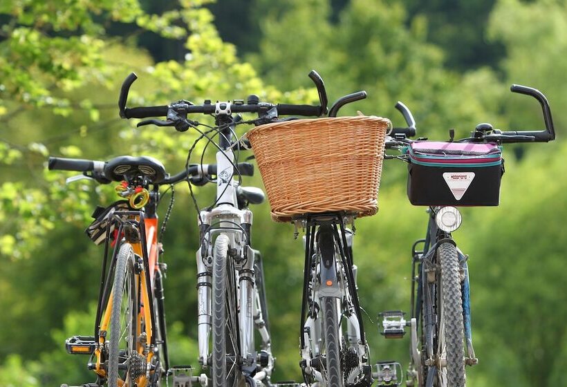 호텔 & Gasthof Zur Linde