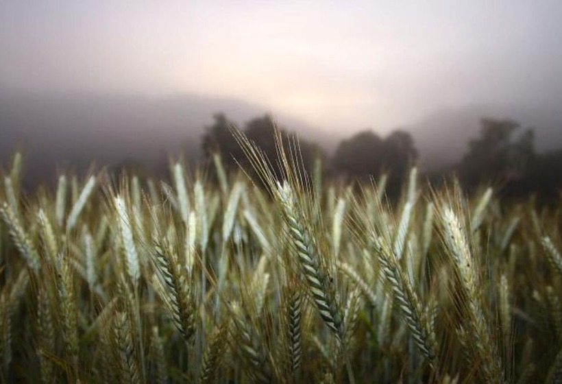 호텔 & Gasthof Zur Linde