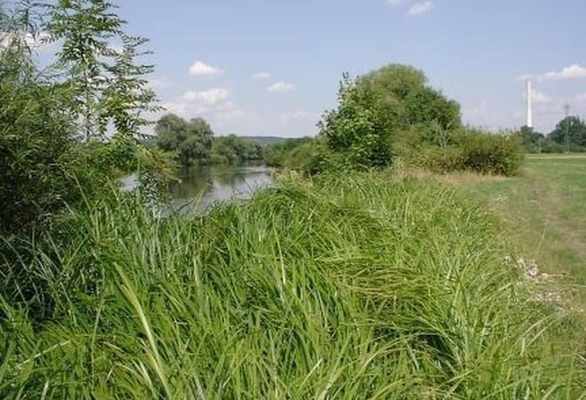 Отель Gäste  Und Boardinghaus Klara Birnbaum