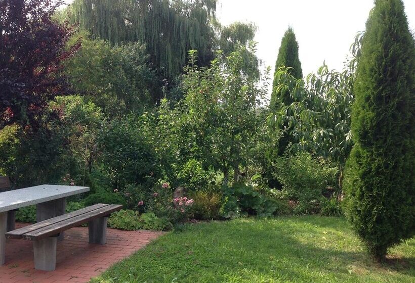 Отель Gäste  Und Boardinghaus Klara Birnbaum