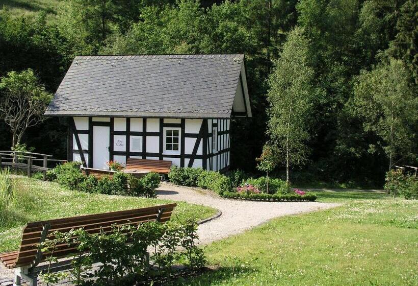 호텔 Hanses Bräutigam