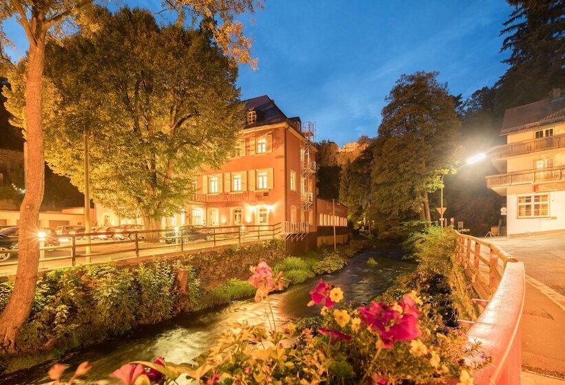 هتل Hartl's Lindenmühle
