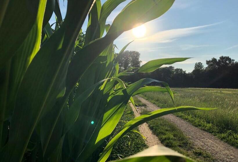 هتل Haus Am Rieth