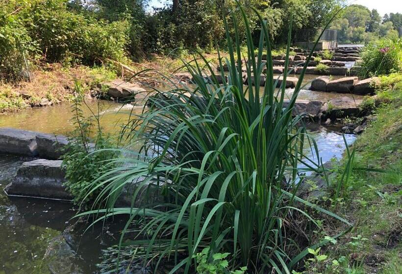 هتل Haus Am Rieth