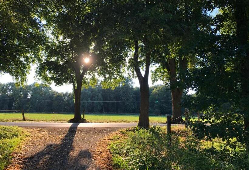 هتل Haus Am Rieth