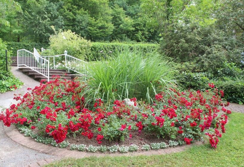 호텔 Haus Am Steinberg