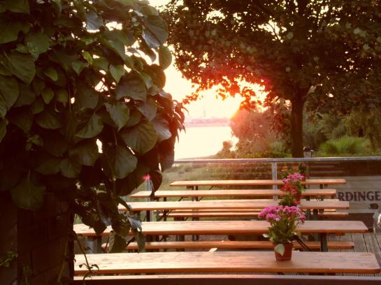 酒店 Haus Rheinblick