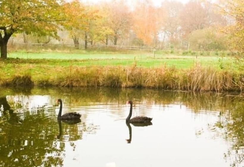 Landhotel Waldseiter Hof