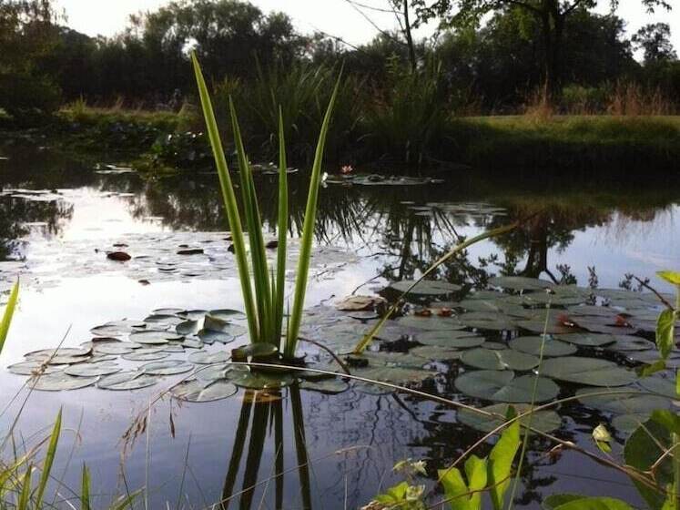 Landhotel Waldseiter Hof