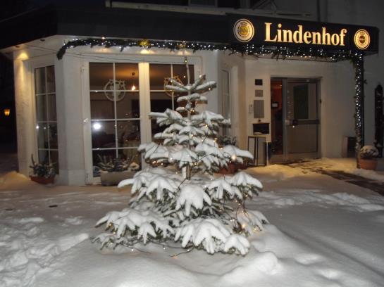 호텔 Lindenhof