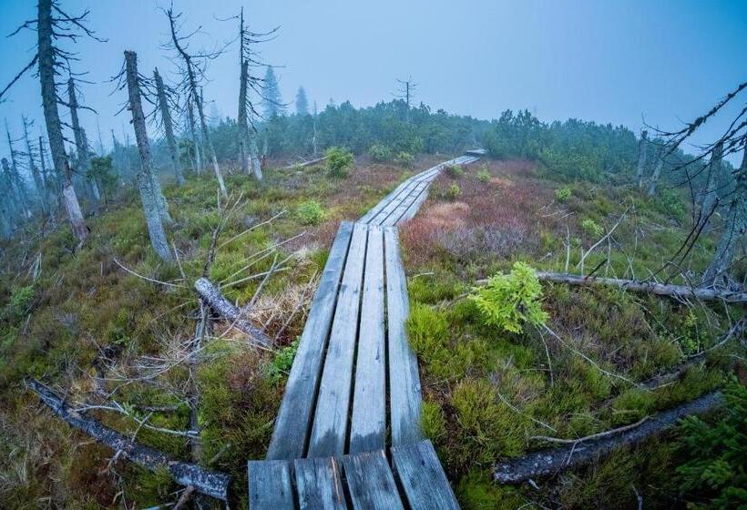 فندق Lugsteinhof