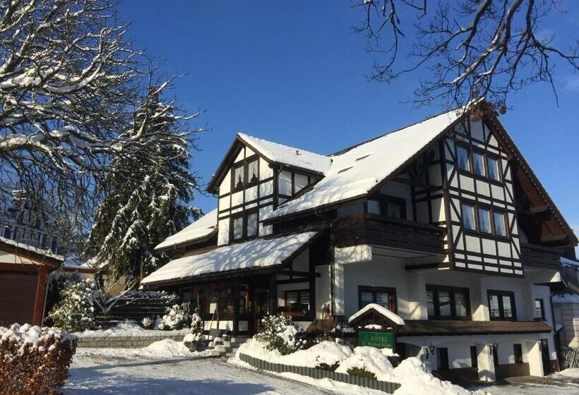 호텔 Pension Berghaus Sieben