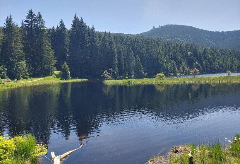 Отель Pension Eichhorn