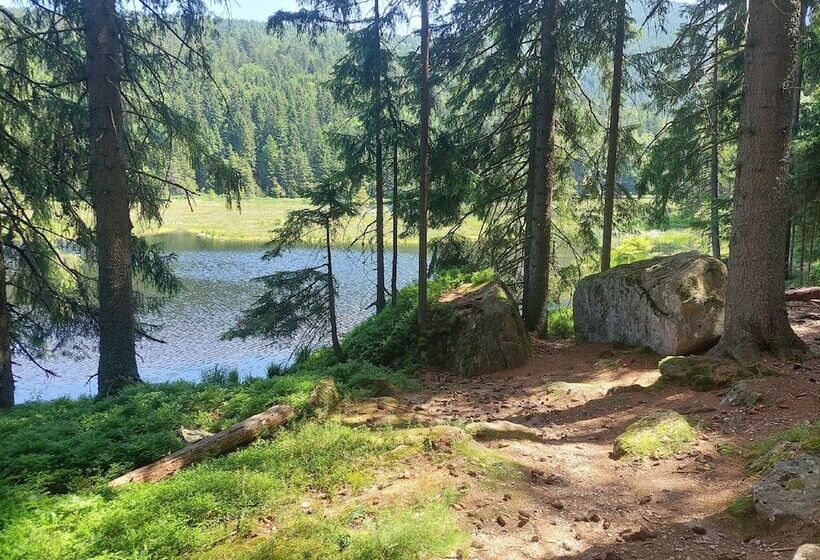 Отель Pension Eichhorn