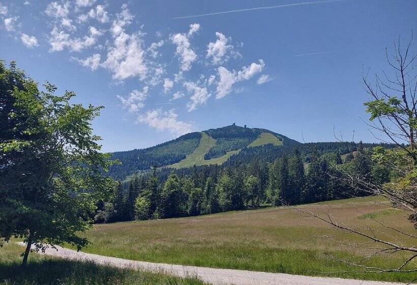 Отель Pension Eichhorn