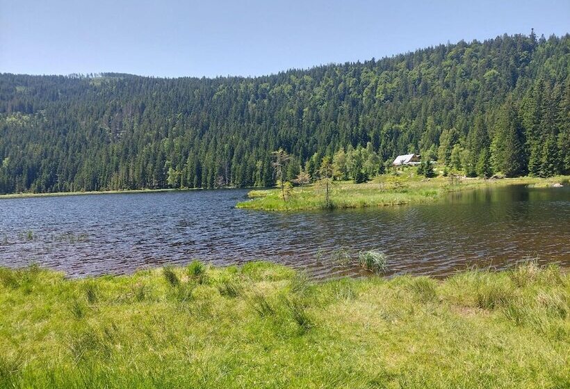 Отель Pension Eichhorn