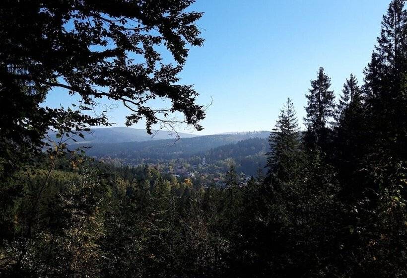 Отель Pension Eichhorn