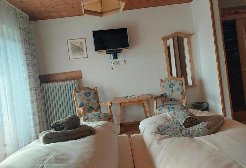 Отель Pension Eichhorn