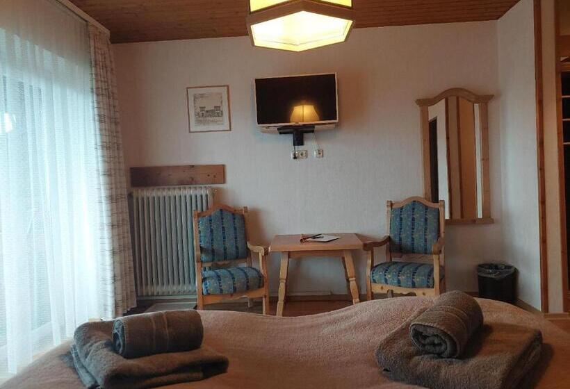 Отель Pension Eichhorn