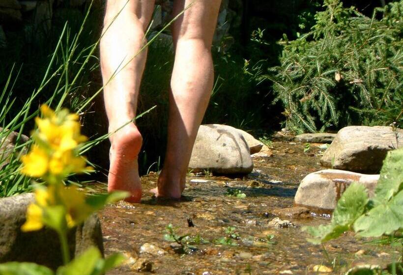 Отель Pension Sonneneck