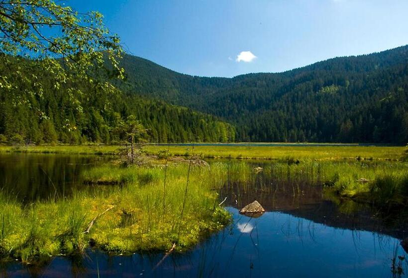 Отель Pension Sonneneck