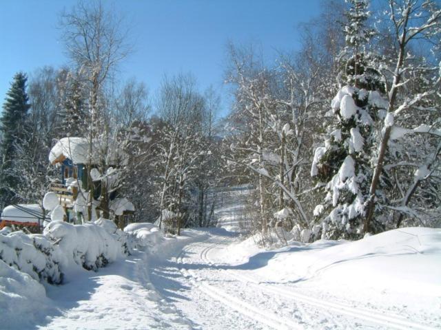 Отель Pension Sonneneck