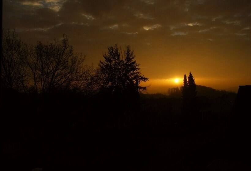 酒店 Pension Wölfel