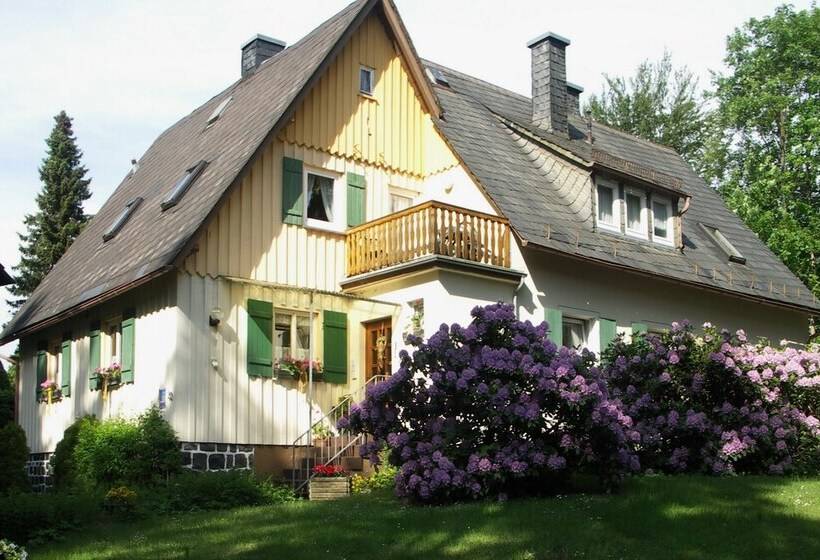 酒店 Pension Wölfel