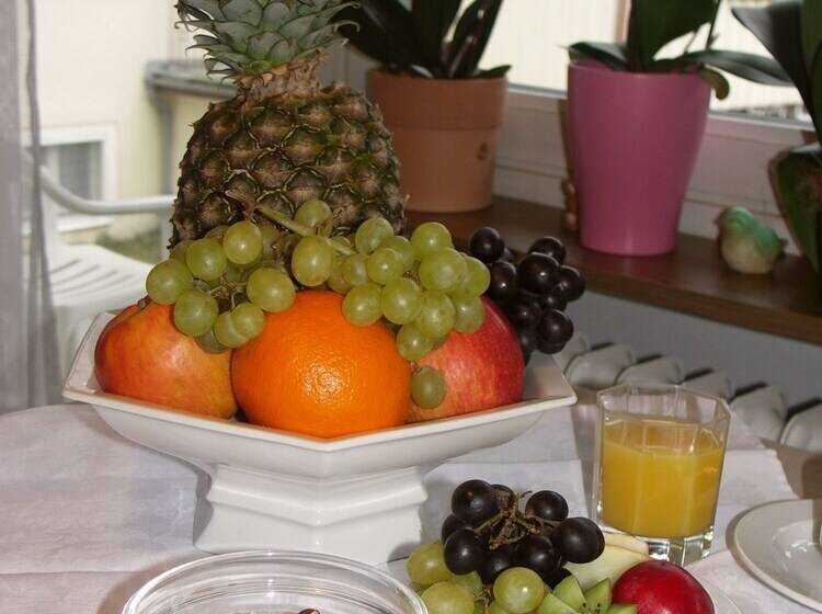 酒店 Pension Wölfel