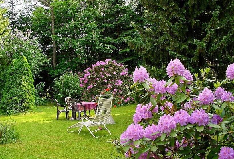 酒店 Pension Wölfel