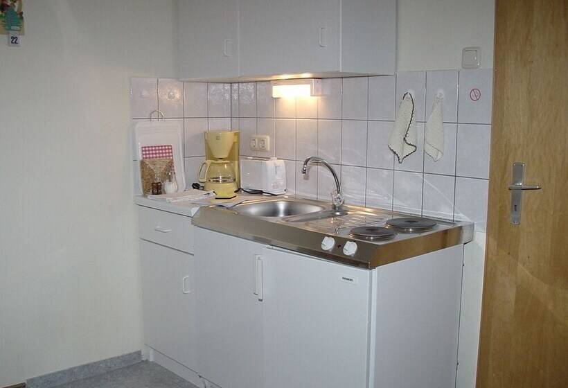 酒店 Pension Wölfel