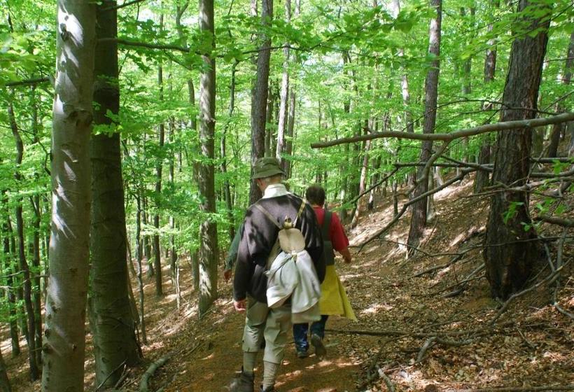 Отель Pferdezentrum Edersee