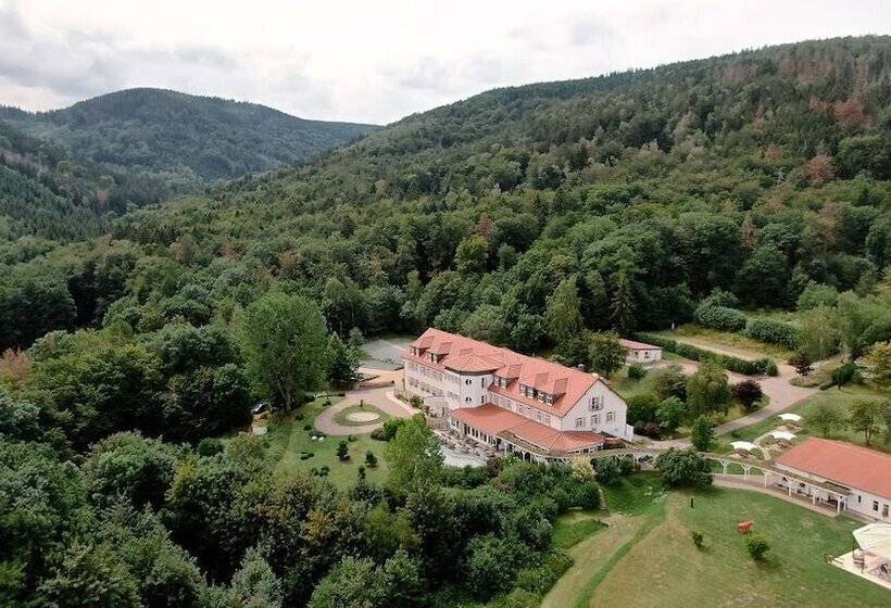 Regiohotel Naturresort Ilsenburg