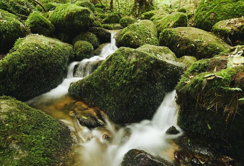 Hotel Restaurant Der Engel, Sasbachwalden
