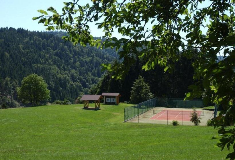 酒店 Schwarzwald Gasthof Rößle
