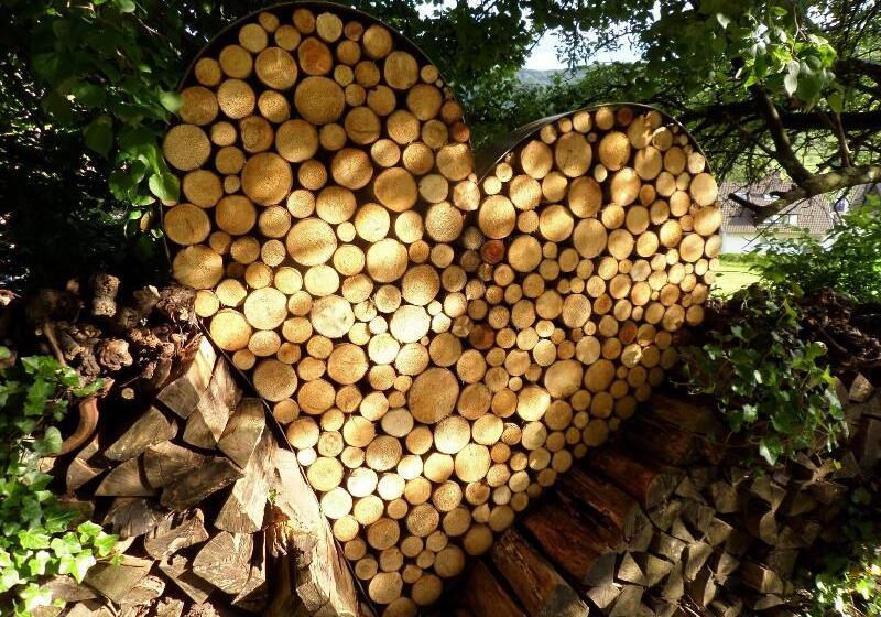 Hotel Gasthaus Goldener Engel