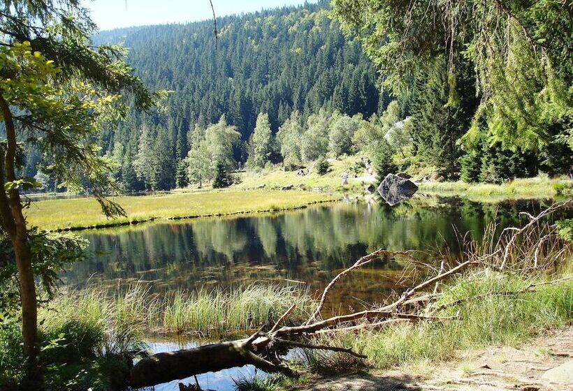 בית מלון כפרי Sonnbichl