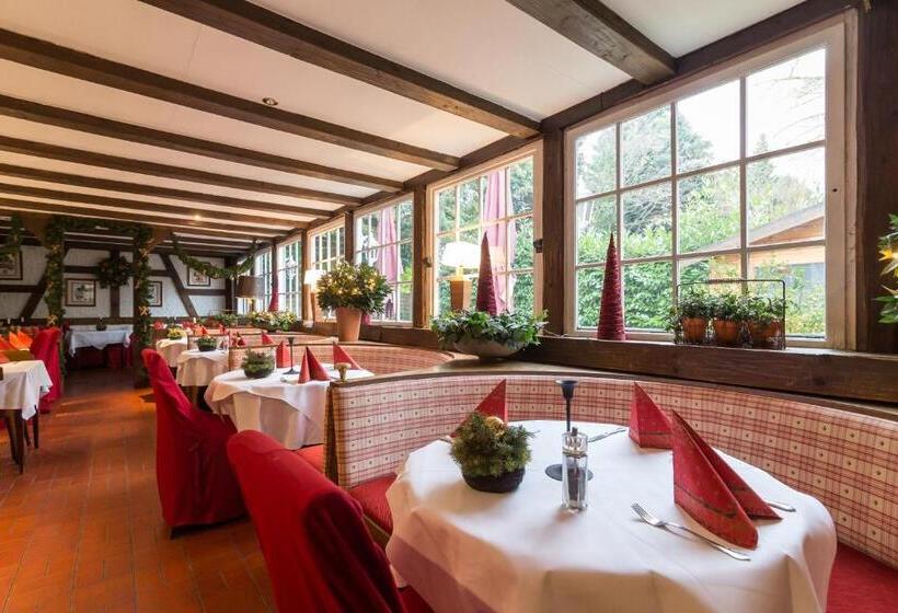 Thermen Hotel & Restaurant Bad Soden